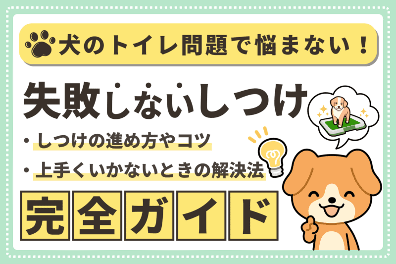【犬のトイレのしつけ完全ガイド】失敗しないための準備と成功のコツ 